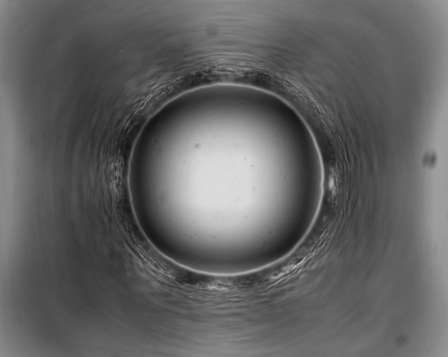 X0000101170867200806271032