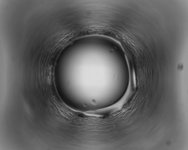 X0000101170868200806271032