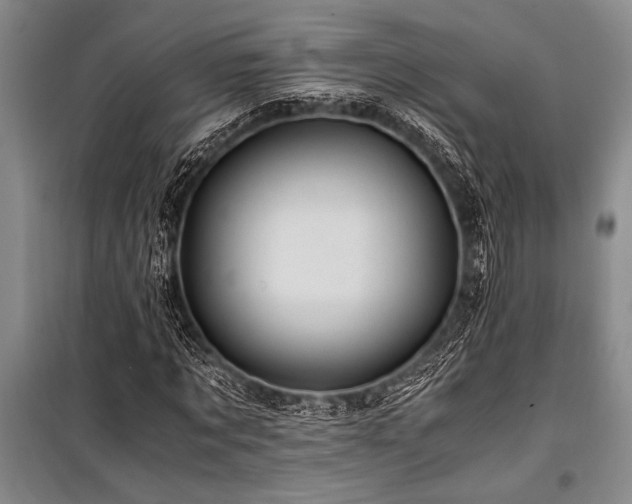 X0000101170869200806271032