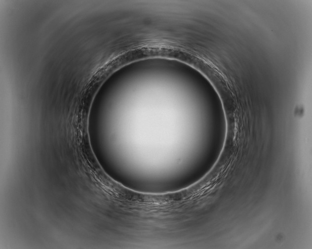 X0000101170870200806271032