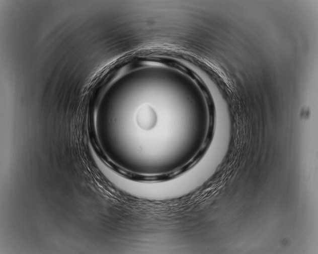 X0000101170872200806271032