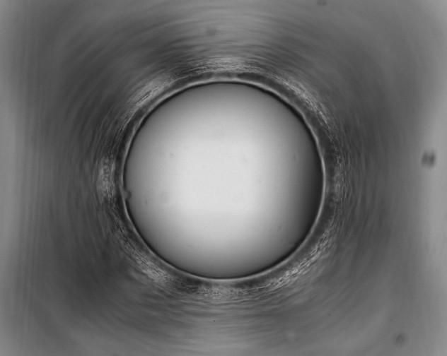 X0000101170873200806271032