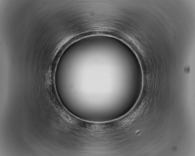 X0000101170875200806271032