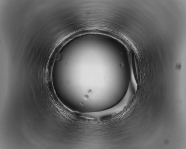 X0000101170876200806271032