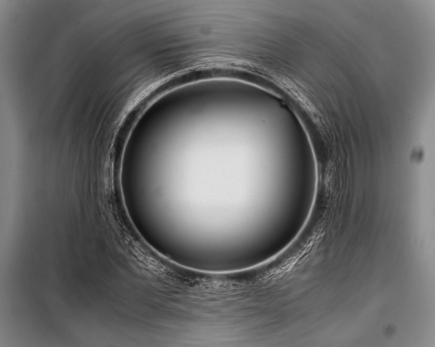 X0000101170877200806271032