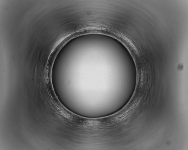X0000101170878200806271032