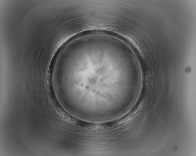 X0000101170879200806271032
