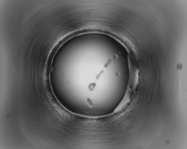 X0000101170880200806271031