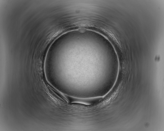 X0000101170881200806271031