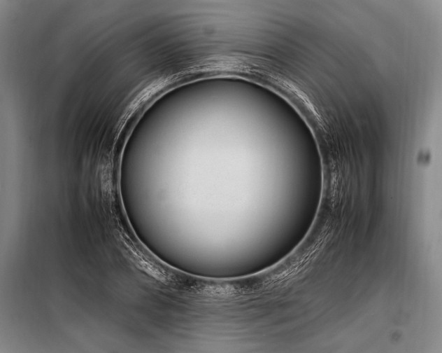X0000101170882200806271031
