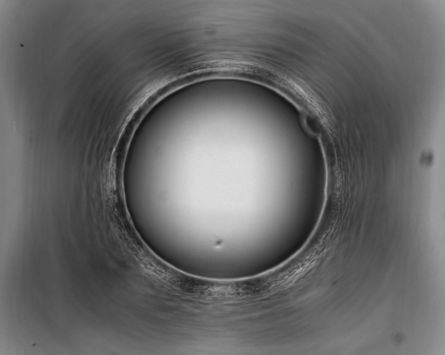 X0000101170883200806271031