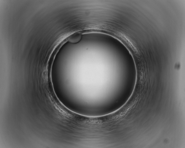 X0000101170884200806271031