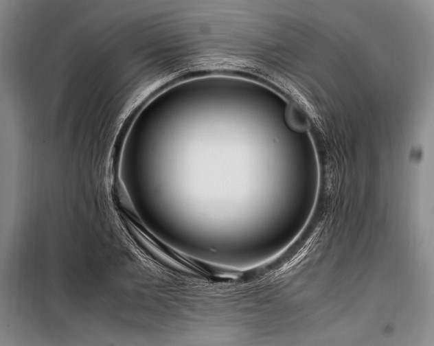 X0000101170885200806271031