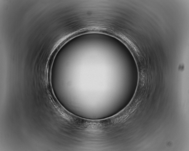 X0000101170886200806271031