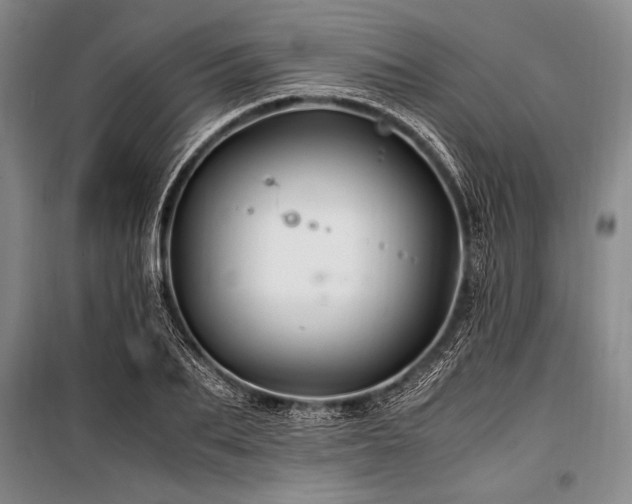 X0000101170887200806271031