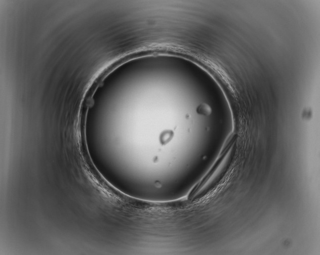 X0000101170888200806271031