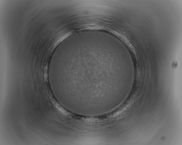 X0000101170889200806271031