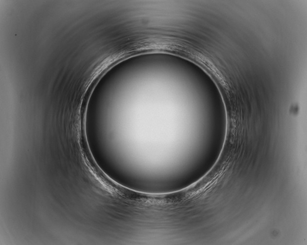 X0000101170890200806271031