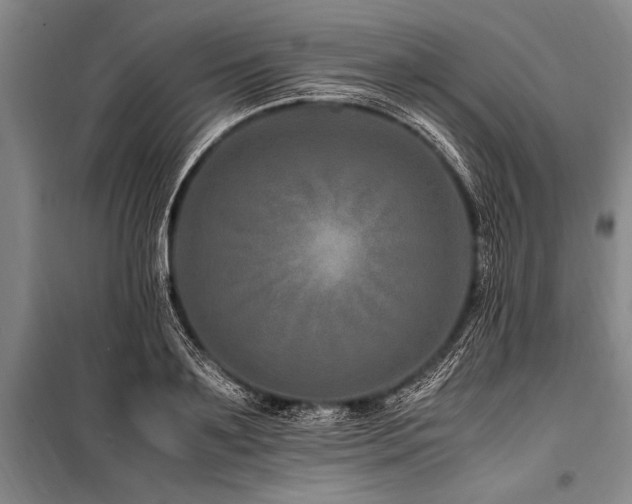 X0000101170891200806271031