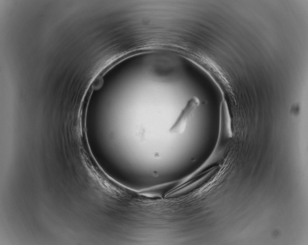 X0000101170892200806271031