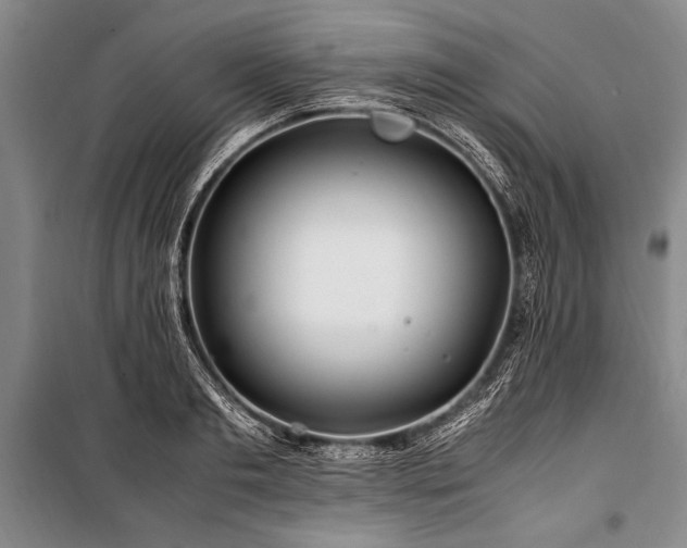X0000101170893200806271031
