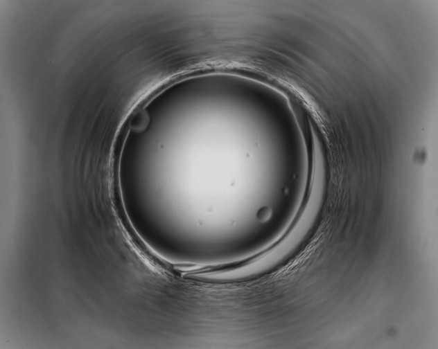 X0000101170894200806271031