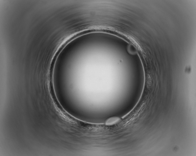 X0000101170895200806271031