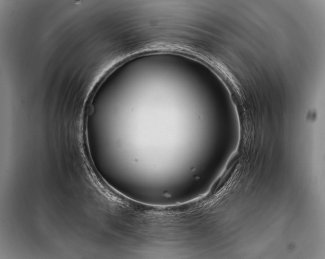 X0000101170896200806271031