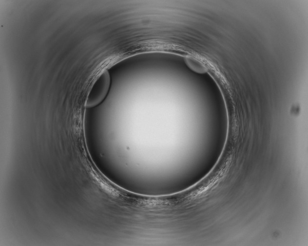 X0000101170897200806271031