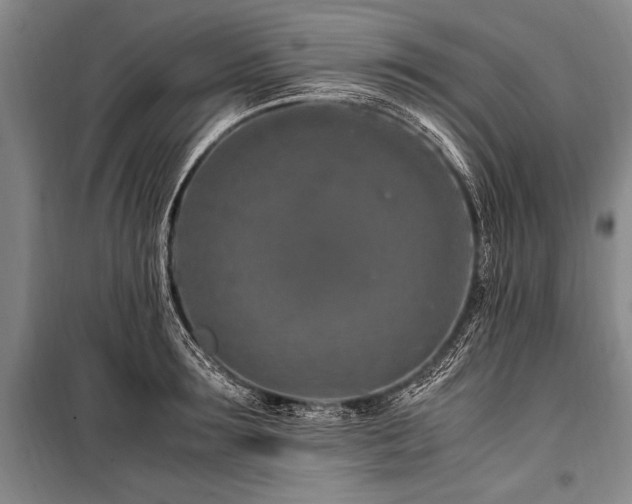X0000101170899200806271031