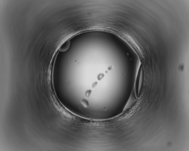 X0000101170900200806271031