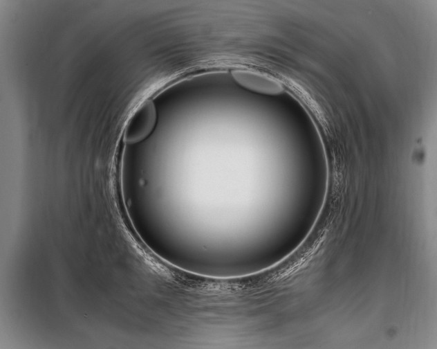 X0000101170901200806271031
