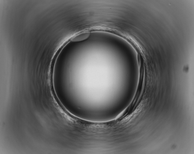 X0000101170902200806271031