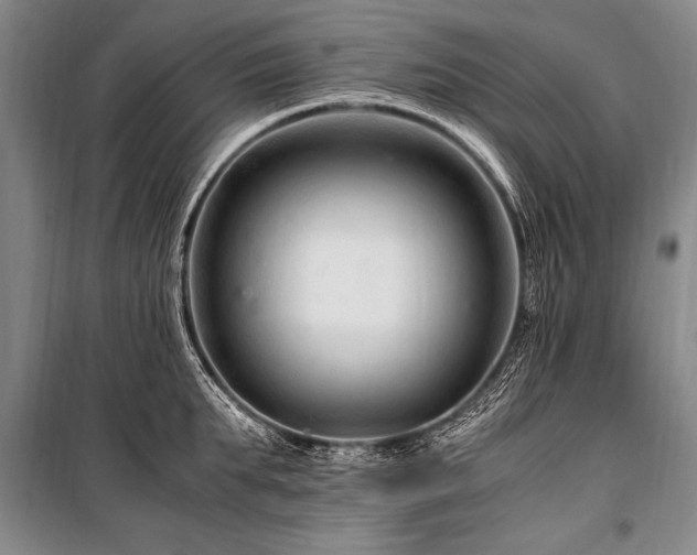 X0000101170903200806271031