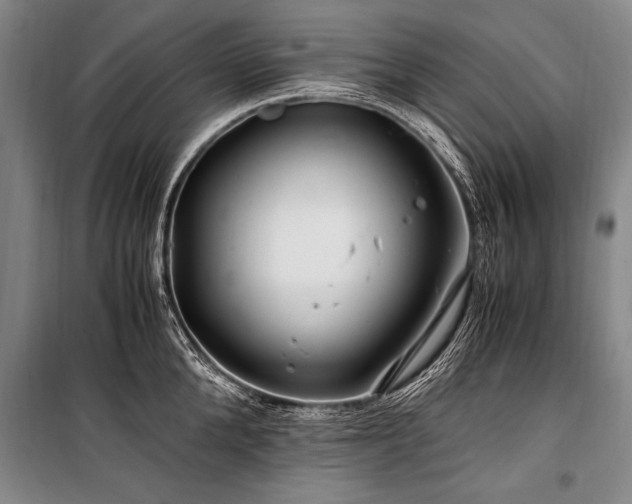 X0000101170904200806271031