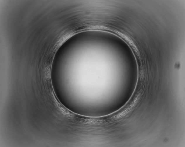 X0000101170905200806271031