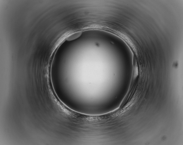 X0000101170906200806271031