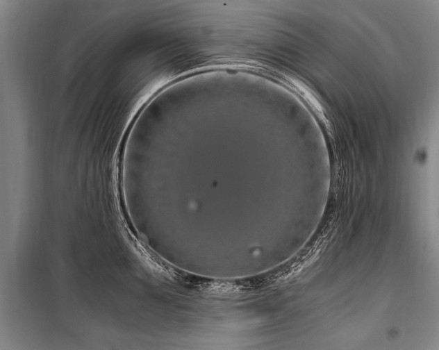 X0000101170907200806271031