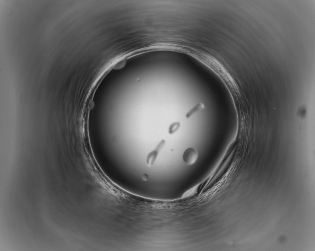 X0000101170908200806271031