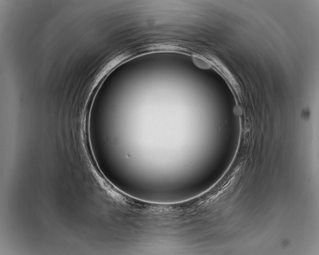 X0000101170909200806271031