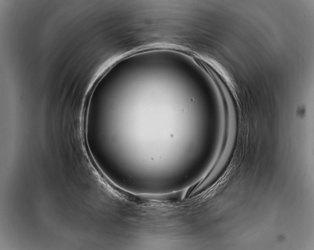 X0000101170910200806271031