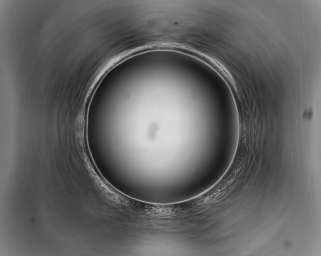 X0000101170911200806271031