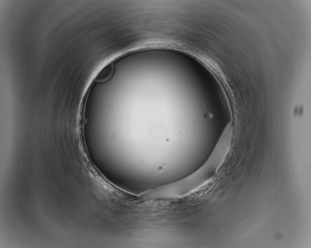 X0000101170912200806271031