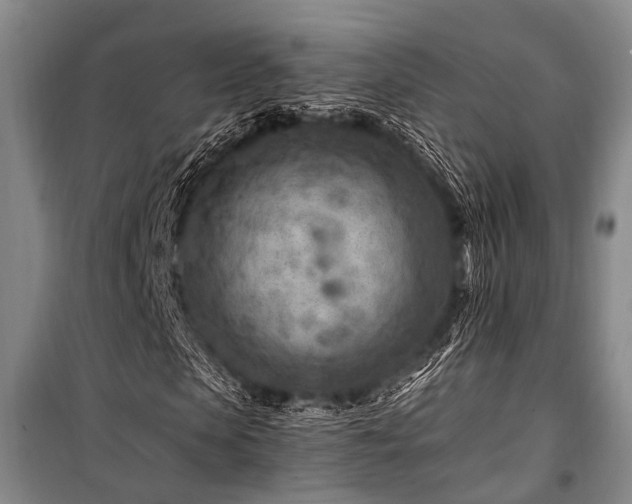 X0000101170913200806271030