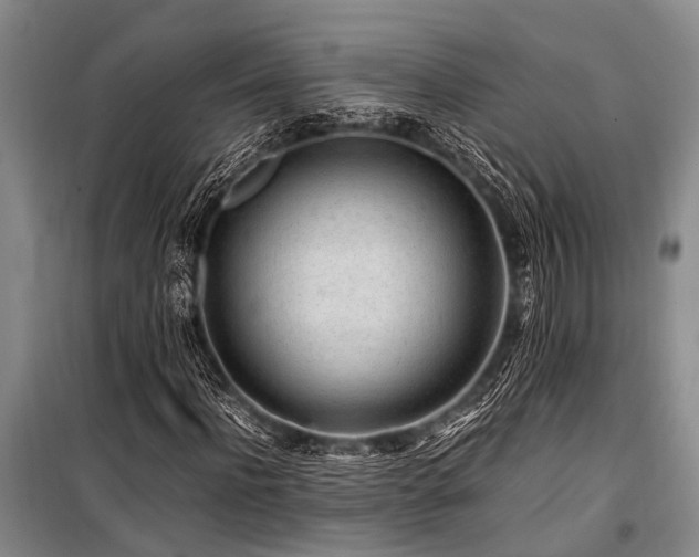 X0000101170916200806271030