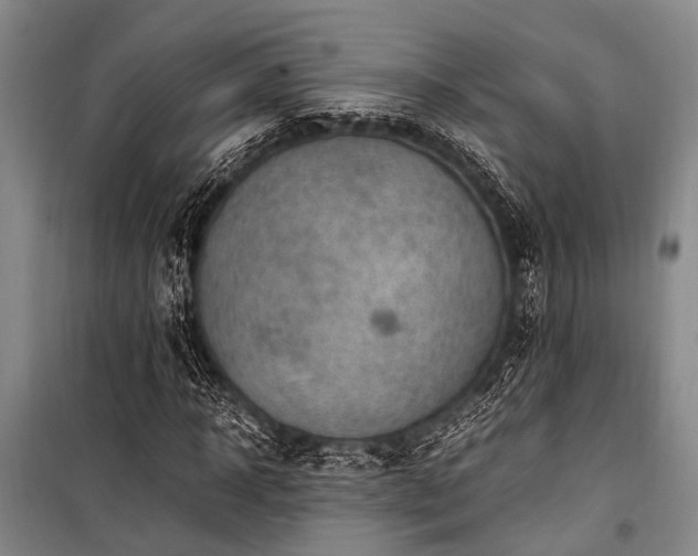 X0000101170918200806271030