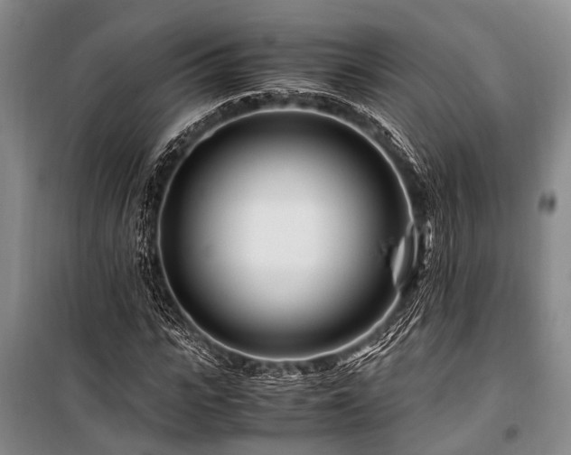 X0000101170919200806271030