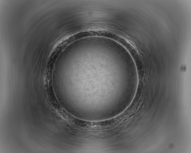 X0000101170920200806271030