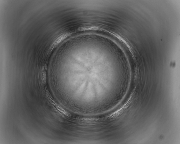 X0000101170921200806271030