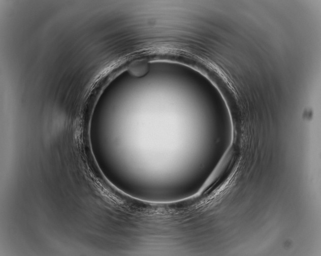 X0000101170922200806271030